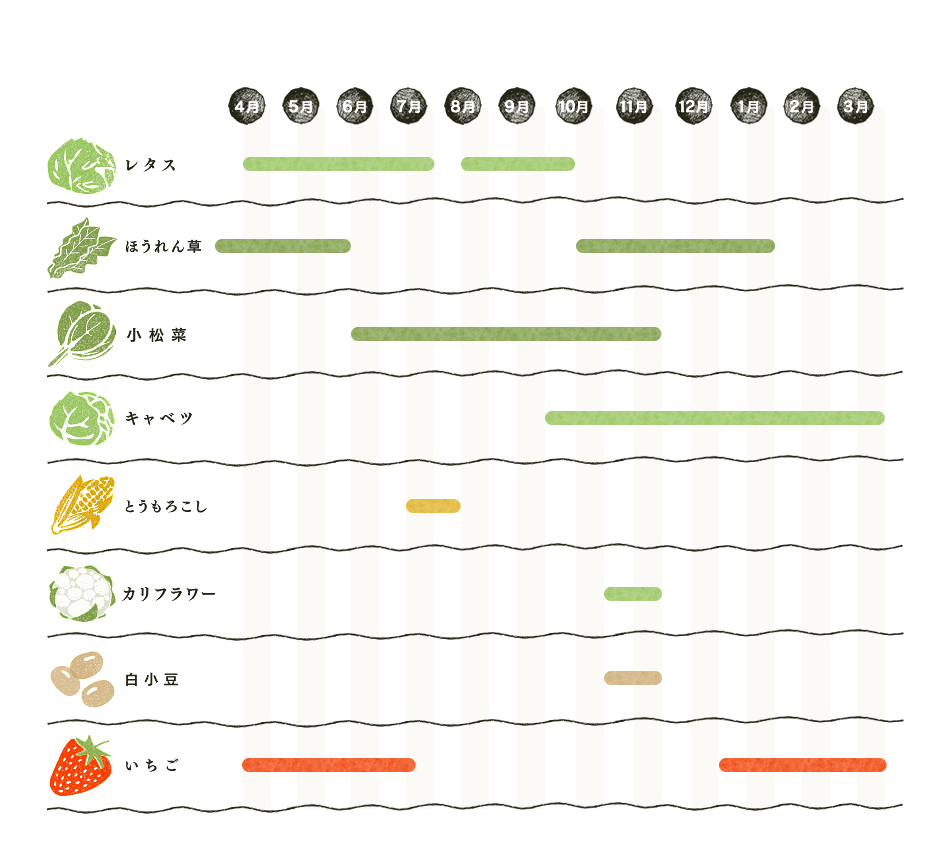 収穫カレンダー（図）