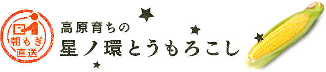 【朝もぎ直送】高原育ちの星ノ環とうもろこし