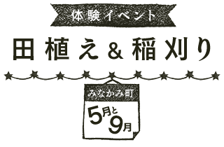 体験イベント 田植え&稲刈り（5月と9月 みなかみ町）