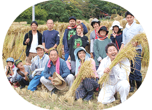 稲刈り（写真2）