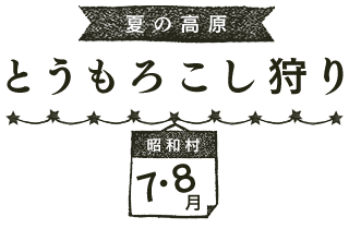 夏の高原 とうもろこし狩り（7・8月 昭和村）