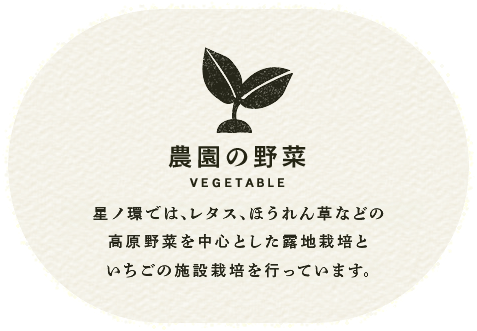 星ノ環では､レタス､ほうれん草などの高原野菜を中心とした露地栽培といちごの施設栽培を行っています。