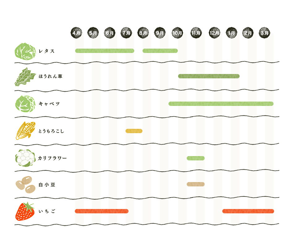 収穫カレンダー（図）