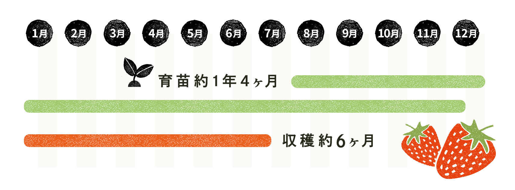 いちごカレンダー