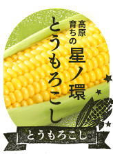 数量限定販売／高原育ちの星ノ環とうもろこし
