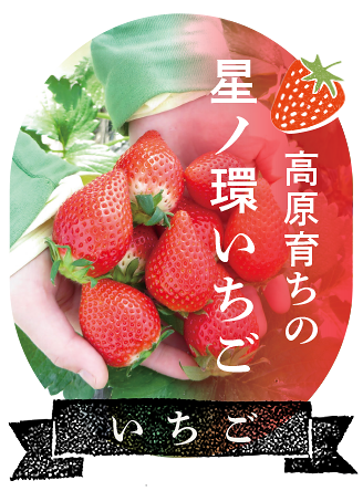 高原育ちの星ノ環いちご